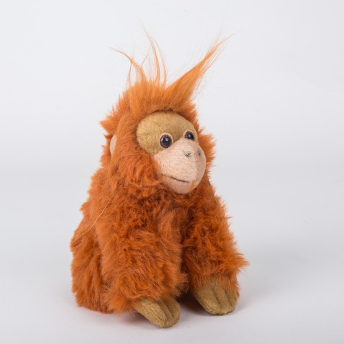 Orangutan