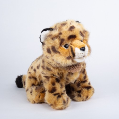 Gepard sedící