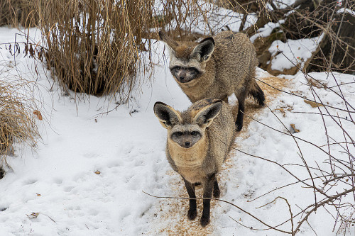 Na návštěvě v Africe zblízka