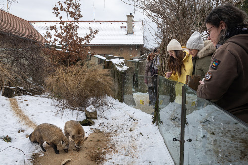 Na návštěvě v Africe zblízka