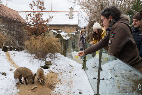 Na návštěvě v Africe zblízka