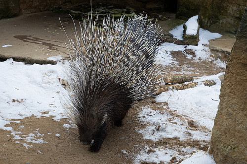 Na návštěvě v Africe zblízka