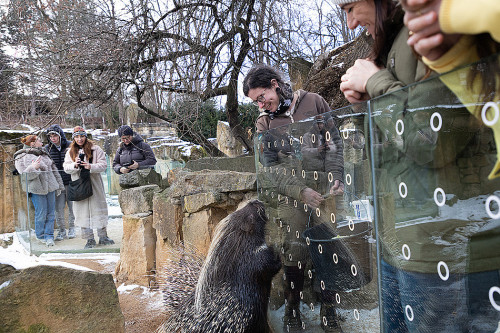 Na návštěvě v Africe zblízka