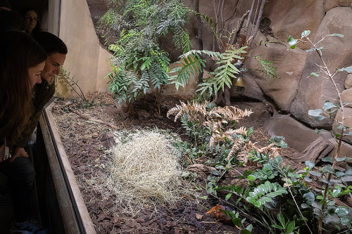 Na návštěvě v Africe zblízka