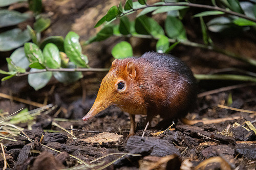 Na návštěvě v Africe zblízka