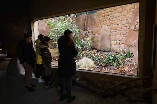 Na návštěvě v Africe zblízka