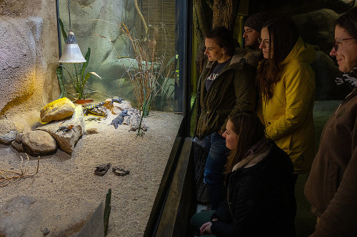 Na návštěvě v Africe zblízka