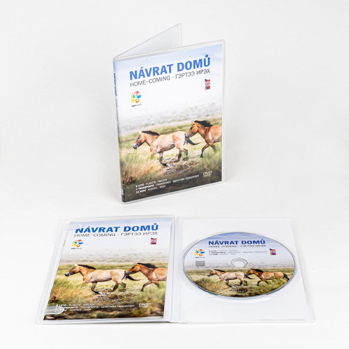 DVD Návrat domů