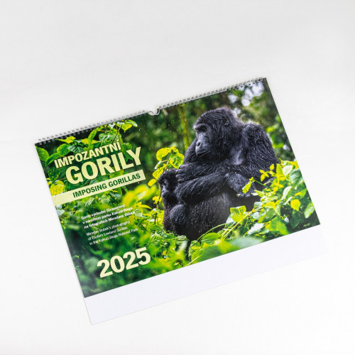 Nástěnný kalendář 2025 -  "Impozantní gorily"