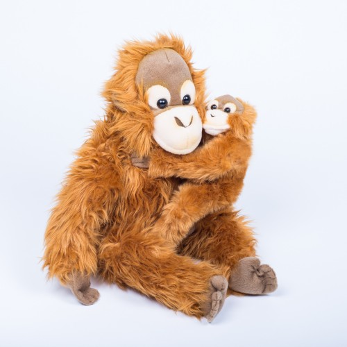 Orangutan - matka s mládětem