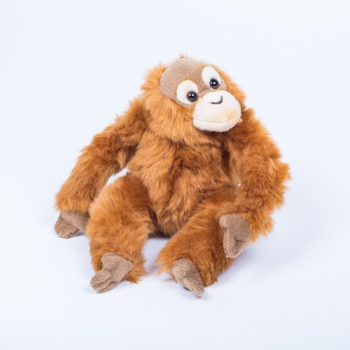 Orangutan mládě 