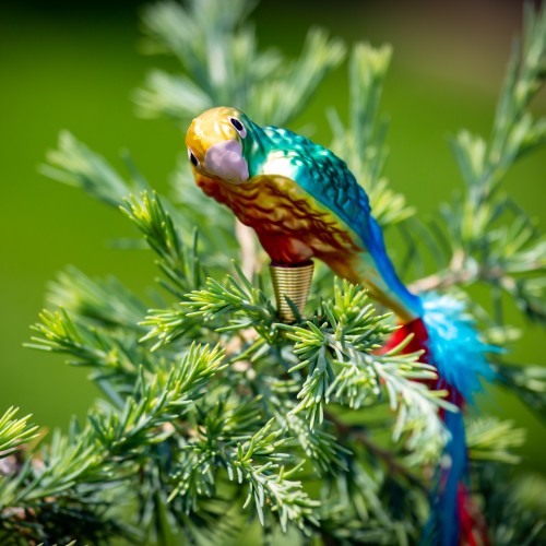 Ručně malovaná vánoční ozdoba s motivem papouška – kogna jižní