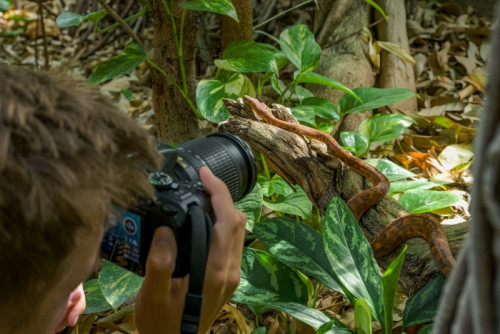Fotokurz v Zoo Praha