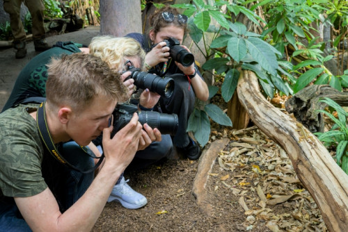 Fotokurz v Zoo Praha