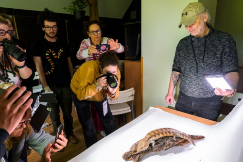 Fotokurz v Zoo Praha