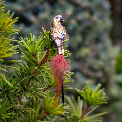 Ručně malovaná vánoční ozdoba s motivem papouška – nestor kea