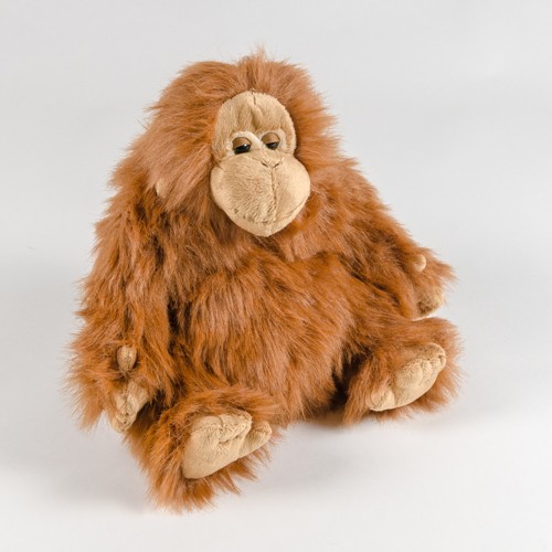 Orangutan
