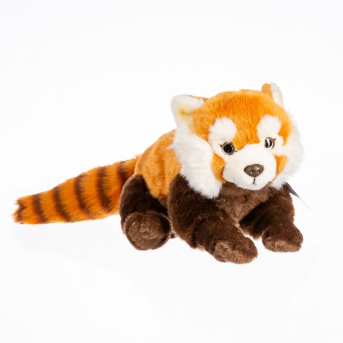 Panda červená
