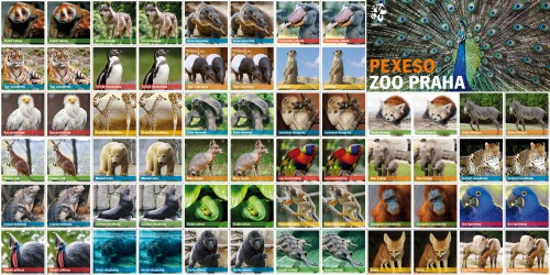 Pexeso
