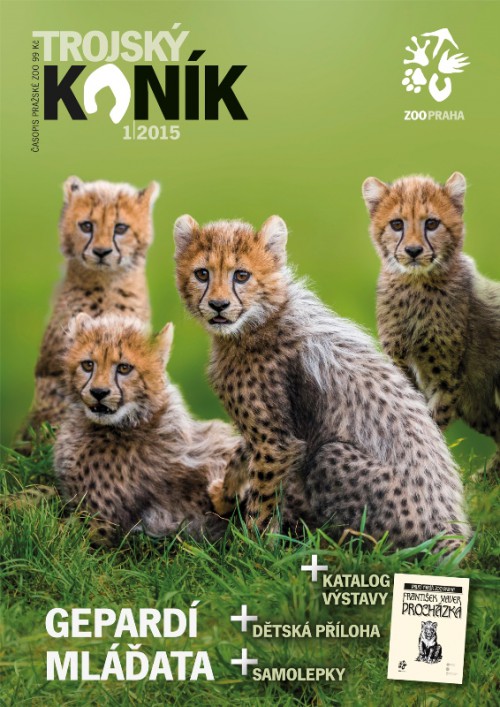 TK 1/2015
