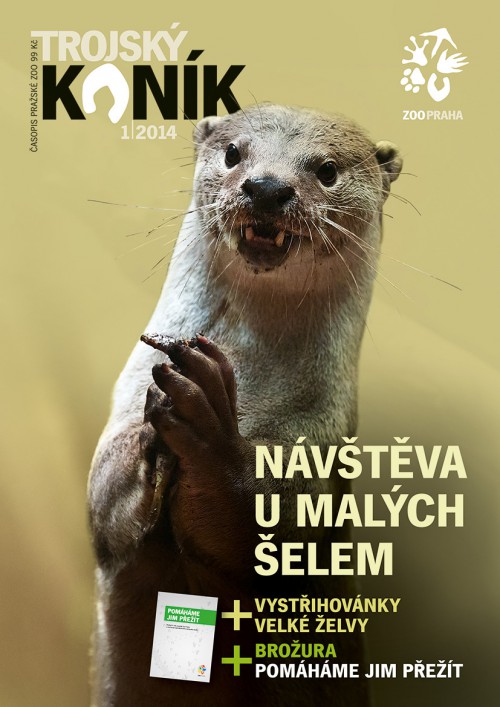 Trojský koník