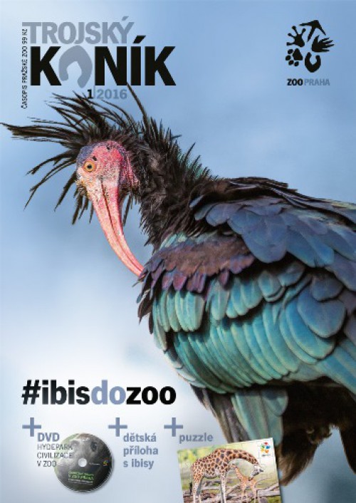 Trojský koník – #ibisdozoo