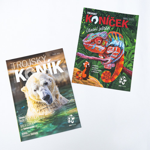 Balíček Trojský koník + Trojský koníček 1/25 