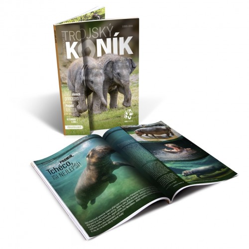 Trojský koník – sloní princezny