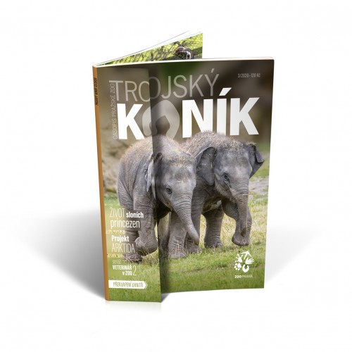 Trojský koník – sloní princezny