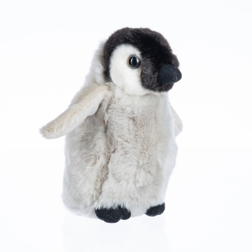 Tučňák mládě