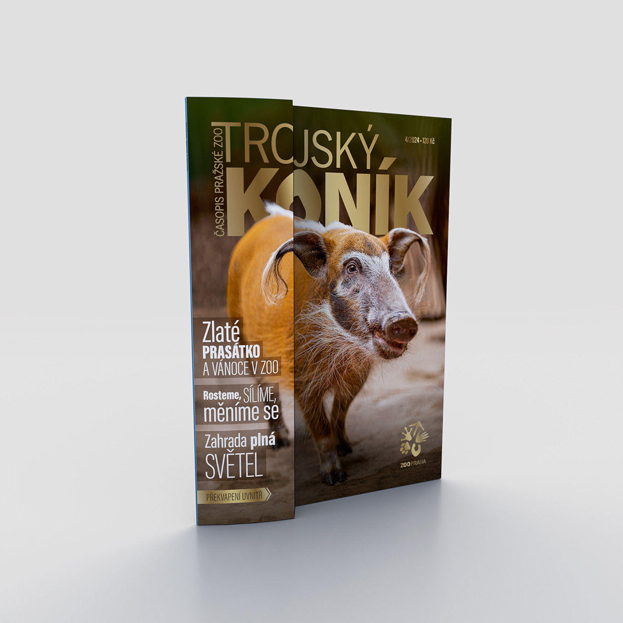 Trojský koník - Proměny a dospívání