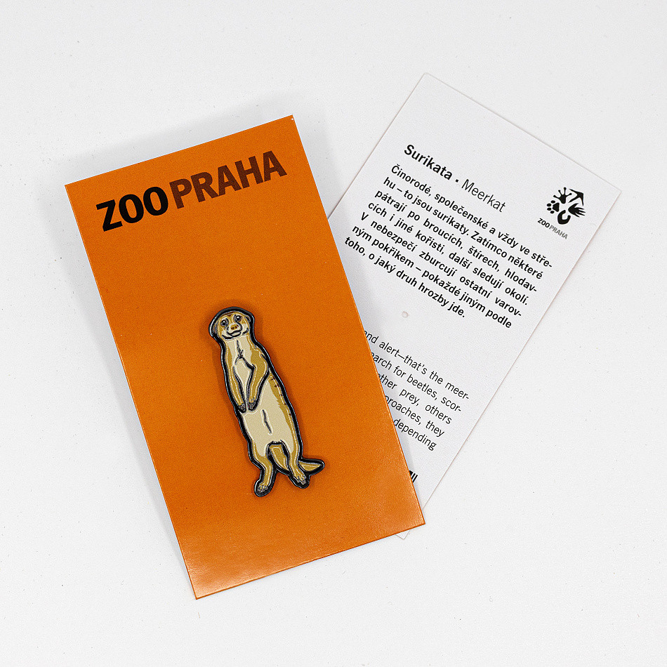 Pin surikata