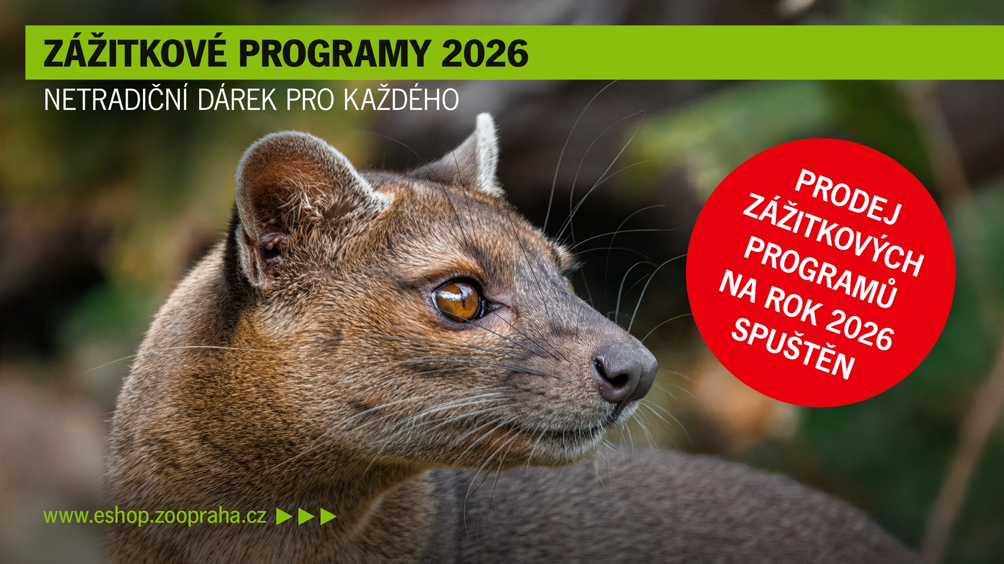 Prodej termínů na rok 2026